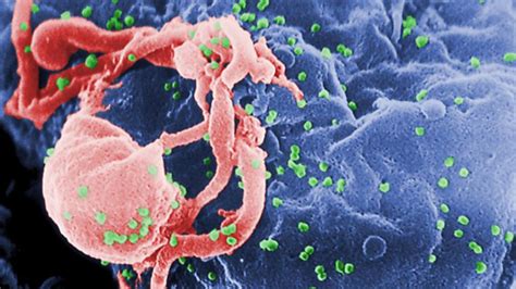 Children Surpass A Year Of Hiv Remission After Art And Science For Kids - Art And Science For Kids