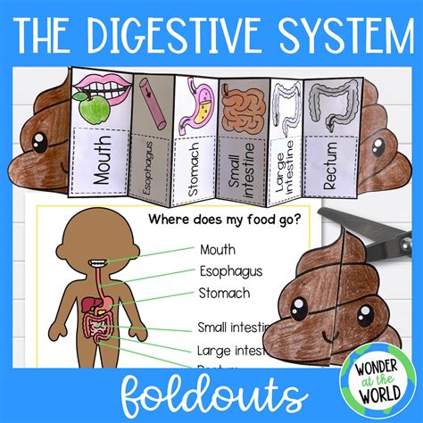 childrens digestive system poems