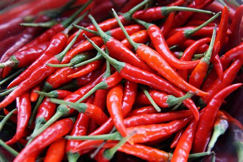chilli | HOT PEPPER BIRD THAI CHILLI green seeds