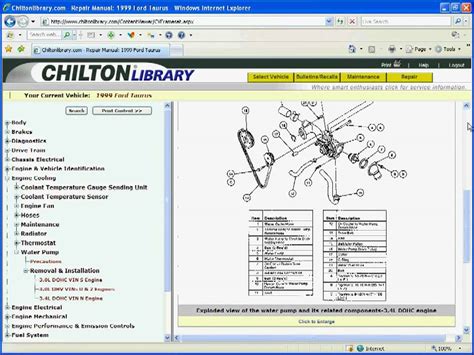 Read Online Chilton Guide 