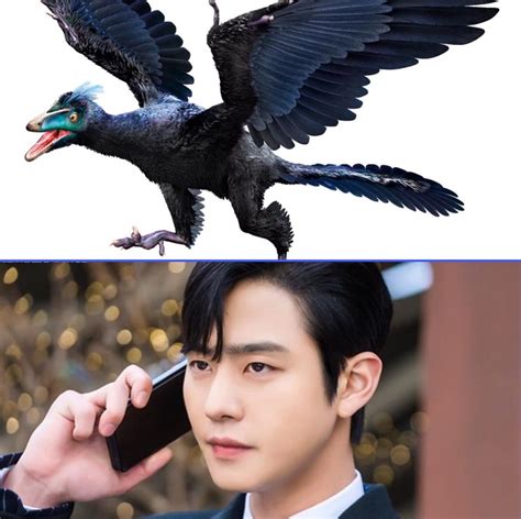 chim thuỷ tổ | Ahn Hyo Seop thu ht fan n