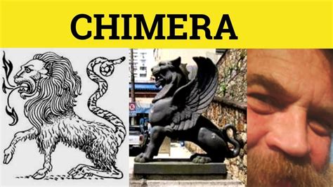 chimera noun - Definition, pictures, pronunciation and usage …