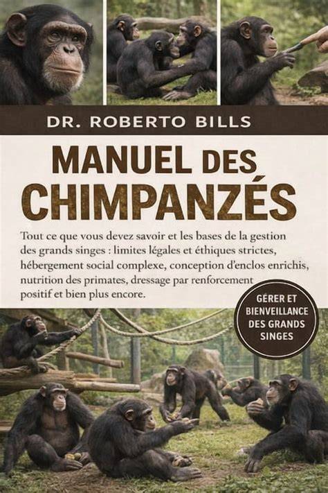 chimpanza c s mes fra res de la foraªt