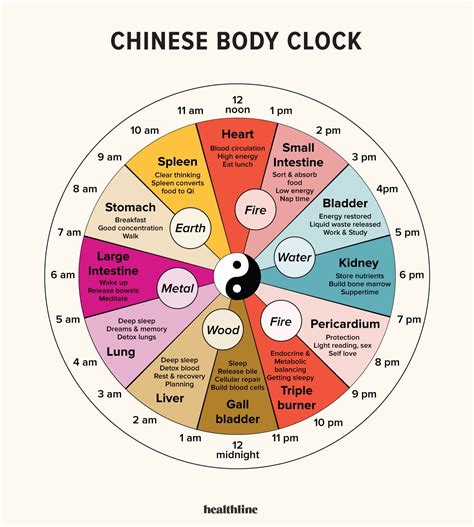 Chinese Body Clock