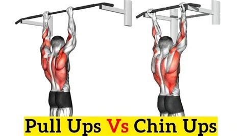 chins vs pull ups