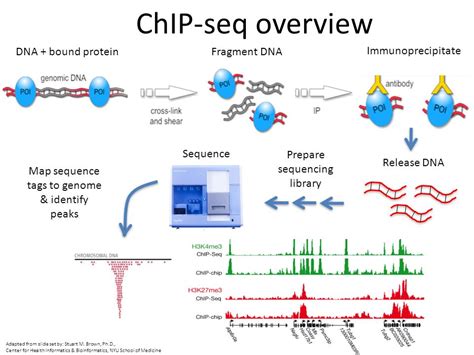 chip-seq的chipseeker包的使用 - 简书