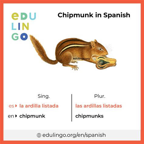 Chipmunk In Spanish