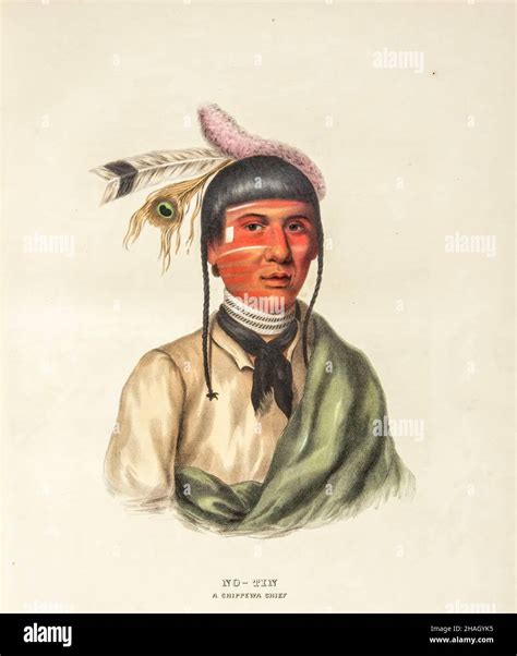 chippewa indians