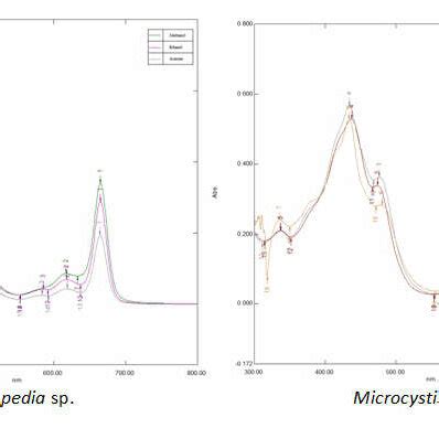 Download Chlorophyll Isolation And Estimation Of Different 