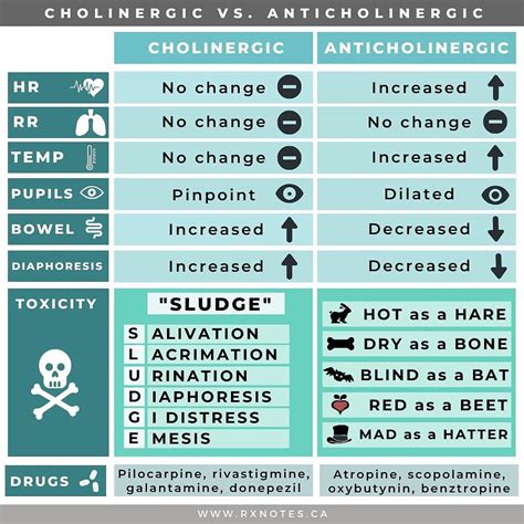Cholinergic Vs Anticholinergic