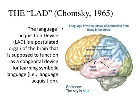 Chomsky Lad