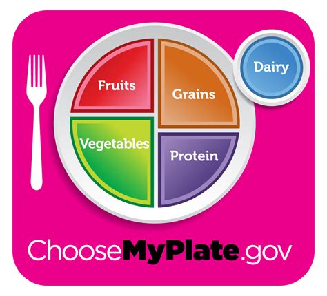 Choose My Plate Lesson Plan Familyconsumersciences Com Choose My Plate Worksheet Answers - Choose My Plate Worksheet Answers