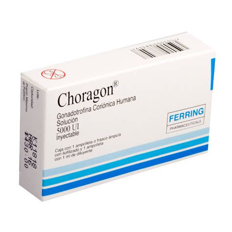 choragon