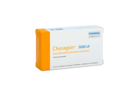 choragon-4