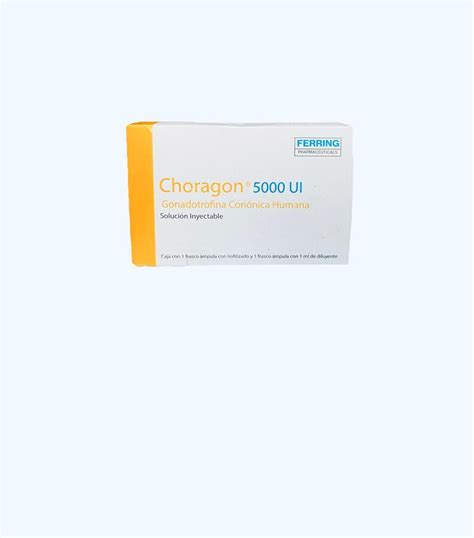 choragon-1