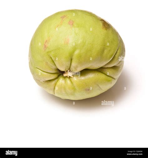 Chow Chow Fruit
