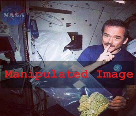 chris hadfield weed in space