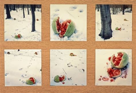 christine borland biography