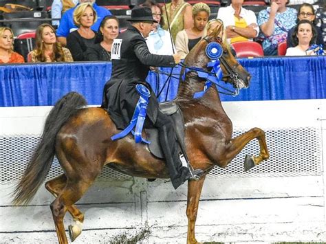 christine daae race horses