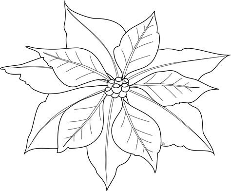 Christmas Decorations Coloring Pages Christmas Poinsettia Christmas Poinsettia Coloring Page - Christmas Poinsettia Coloring Page
