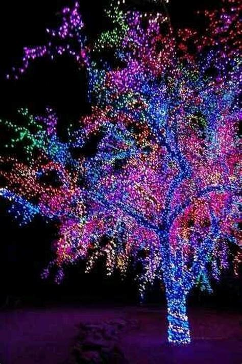 Christmas Tree Lights Landscape Paint By Number Paint Christmas Tree Paint By Numbers - Christmas Tree Paint By Numbers