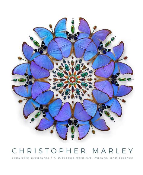 christopher marley biography