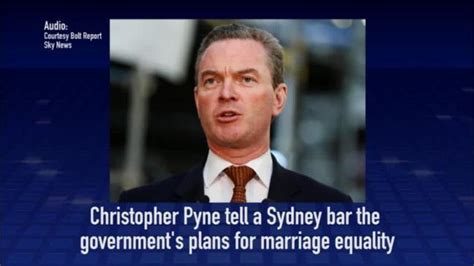 christopher pyne is gay