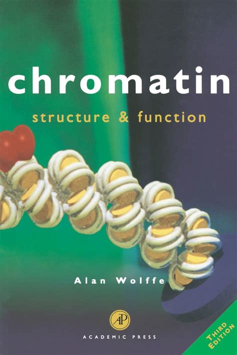 Chromatin Third Edition Structure And Function