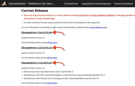 Image related to chromedriver-version