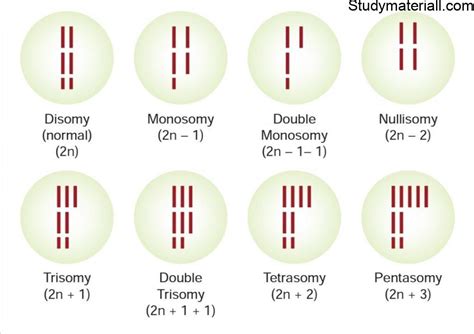 Chromosomal Mutations Aberrant Euploidy Practice Problems Chromosomal Mutations Worksheet - Chromosomal Mutations Worksheet