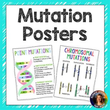 Chromosomal Mutations Teaching Resources Tpt Chromosomal Mutations Worksheet - Chromosomal Mutations Worksheet