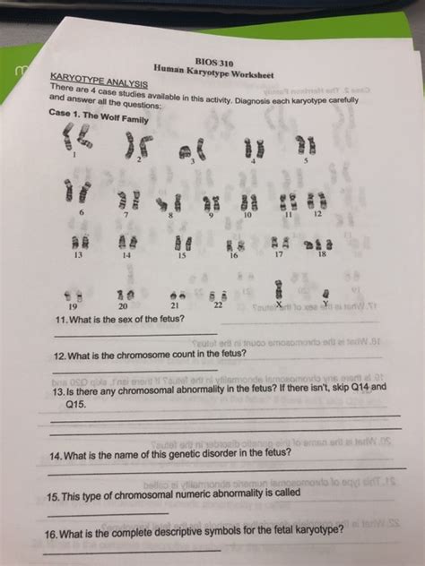 Full Download Chromosome And Karyotype Review Answer Key 
