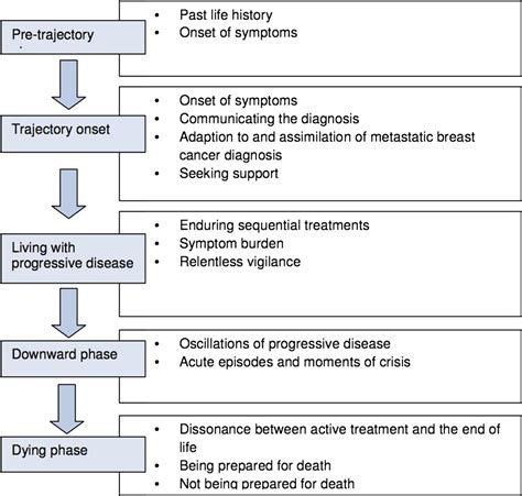 Read Chronic Illness Trajectory Framework The Corbin And Strauss Nursing Model 