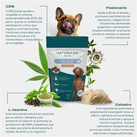 chuches cbd