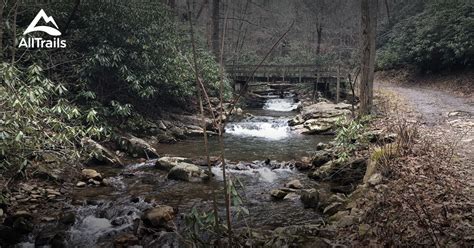 chuckey tennessee