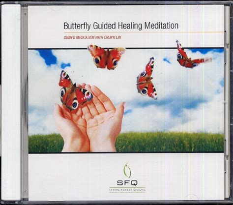 chunyi lin butterfly meditation