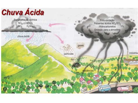 Chuva ácida Resumo