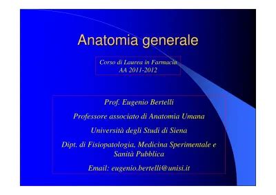 Download Ci Di Anatomia Umana Prof Eugenio Bertelli Dbcf Unisi 