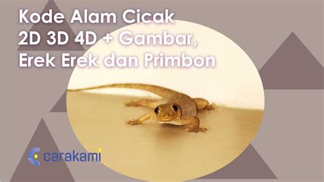 CICAK EREK EREK - Mimpi Kode Alam Cicak Jatuh Didepan Kita 2D 3D 4D Erek Erek Tafsir