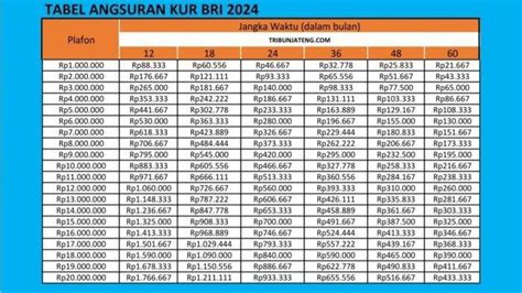 CICILAN KUR BRI 2024：Tabel Angsuran KUR BRI Desember 2024, Berikut Syaratnya