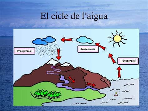 Cicle De L'aigua