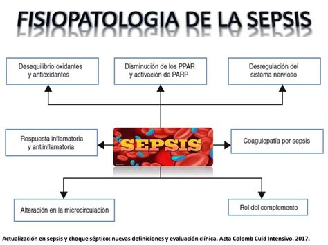 Cid Sepse Pulmonar