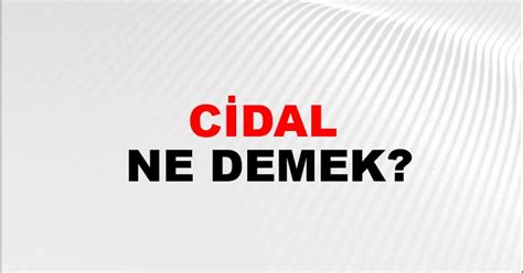 Cidal Ne Demek