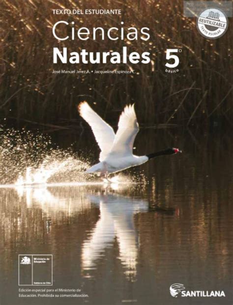 Full Download Ciencias Naturales 5 B Sico 