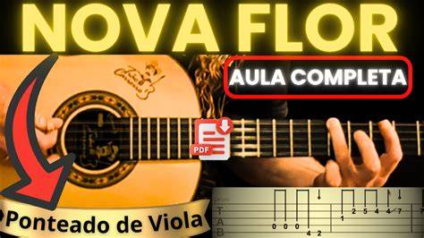 Cifra De Viola