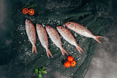 cijene ribe u hrvatskoj