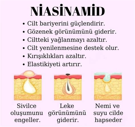Cilt Eş Anlamlısı