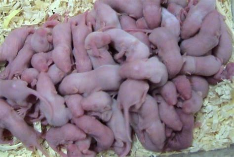 cindil | Cindil Cindil Facebook