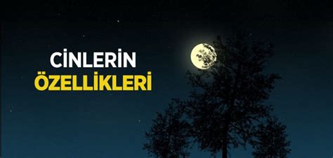Cinler Gerçek Mi