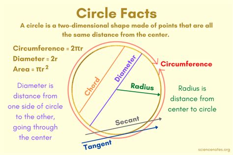 Circle Facts Area Circumference Diameter Radius Circle The Same Number - Circle The Same Number